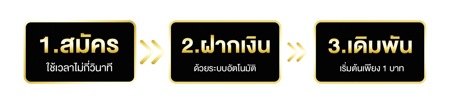 ขั้นตอนการเข้าเล่น by zoro789